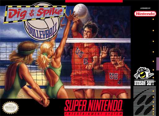 Dig & Spike Volleyball  Snes